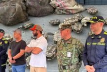 “Nada de hicotea ni iguana”: Autoridades endurecen controles en Semana Santa y ya suma 160 capturas por tráfico ilegal de fauna